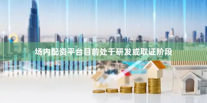 场内配资平台目前处于研发或取证阶段