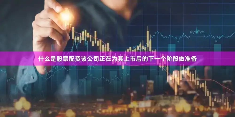 什么是股票配资该公司正在为其上市后的下一个阶段做准备